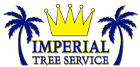 Imperial Tree Service Saint Petersburg Home Page